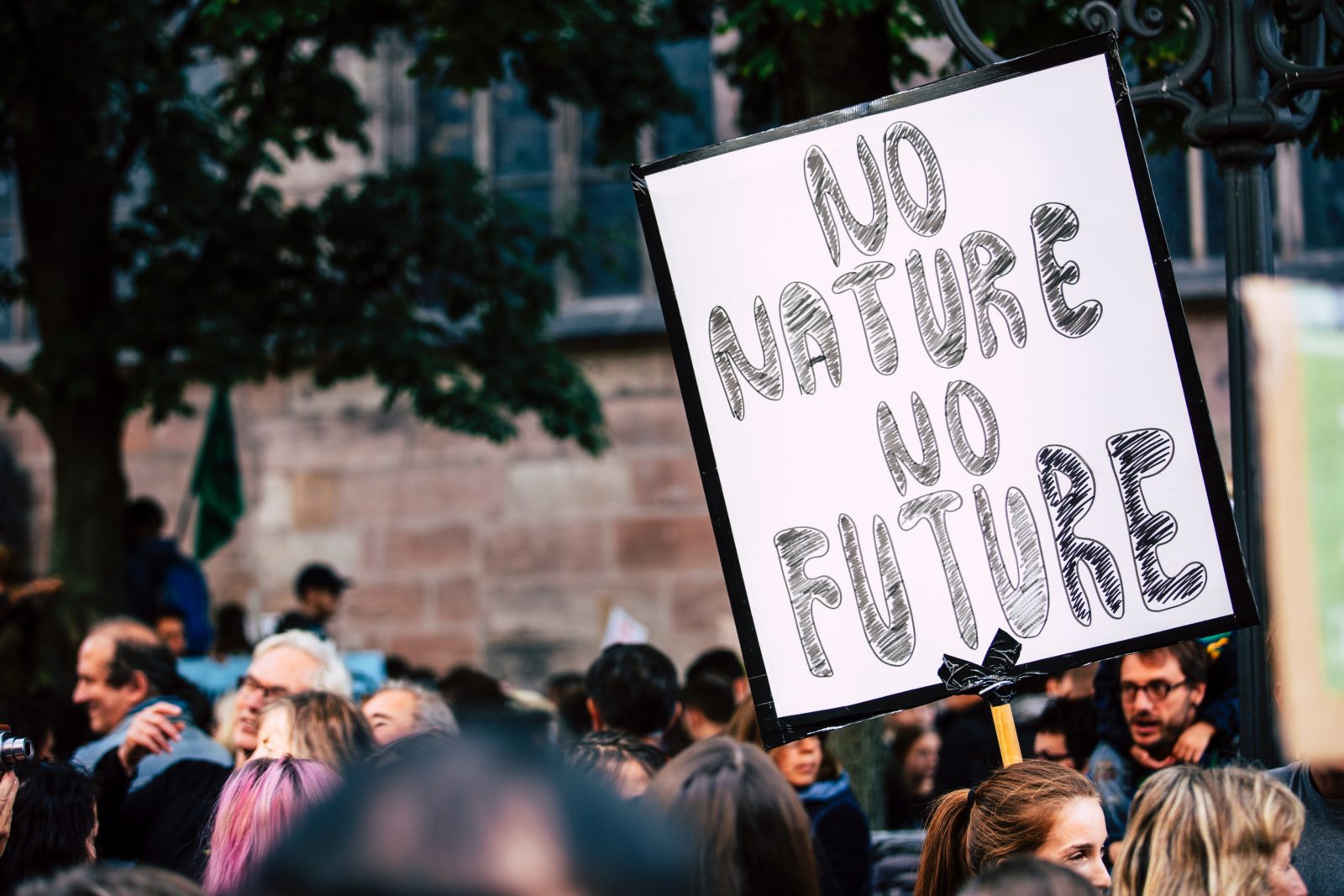 Klimastreik mit vielen Köpfen von Menschen im Hintergrund. Zentral ist ein Plakat mit der Aufschrift "NO NATURE NO FUTURE" zu sehen. Also ungefähr übersetzt "ohne Natur keine Zukunft." 